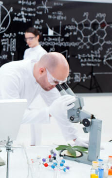 synthetic fuel research scientist